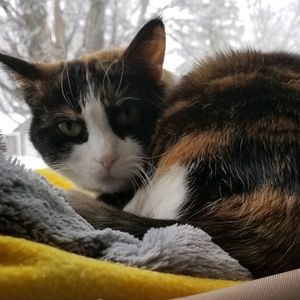 Meet your Posher, Mackenzie